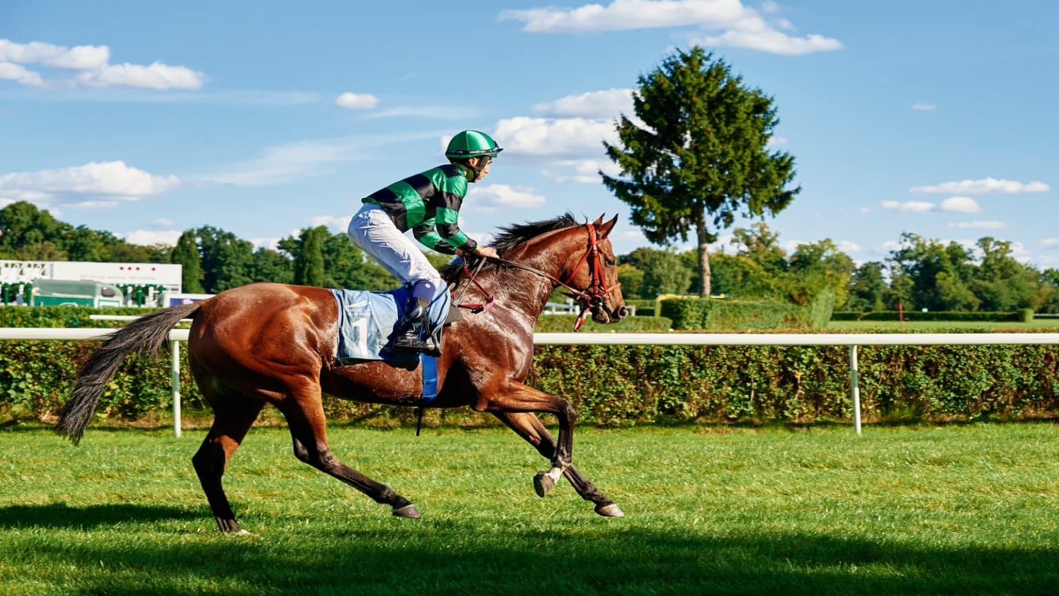 grand national odds horse running